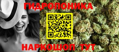 ALPHA PVP Коммунар