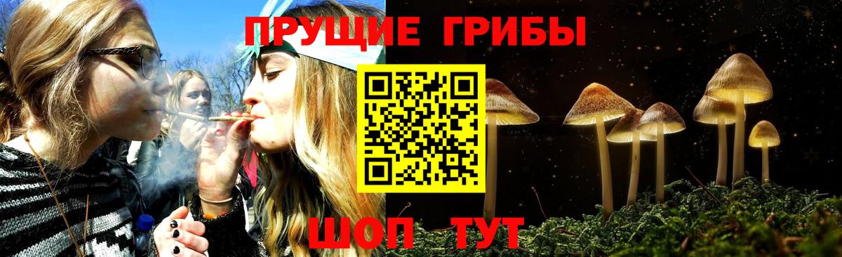 Псилоцибиновые грибы Psilocybine cubensis  магазин продажи наркотиков  Невинномысск  Галлюциногенные грибы MAGIC MUSHROOMS  Вход с VPN 